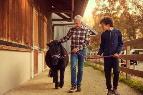 balade d'un cheval avec deux personnes 