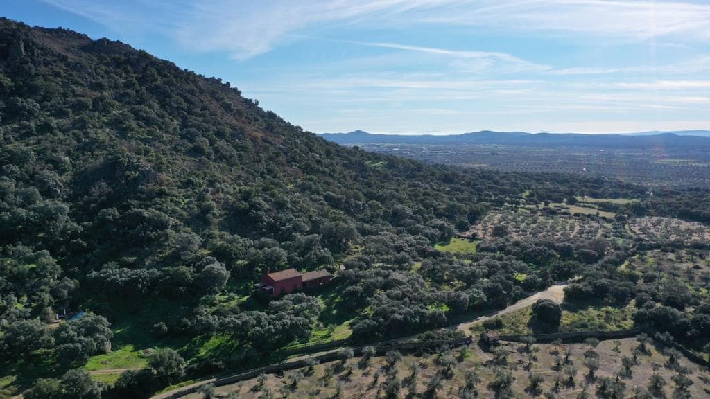 Le domaine vue du ciel