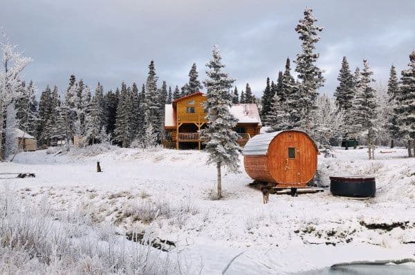 Mount Logan Lodge - Photo du jardin et des sapins autour recouvert de neige. Au premier plan la