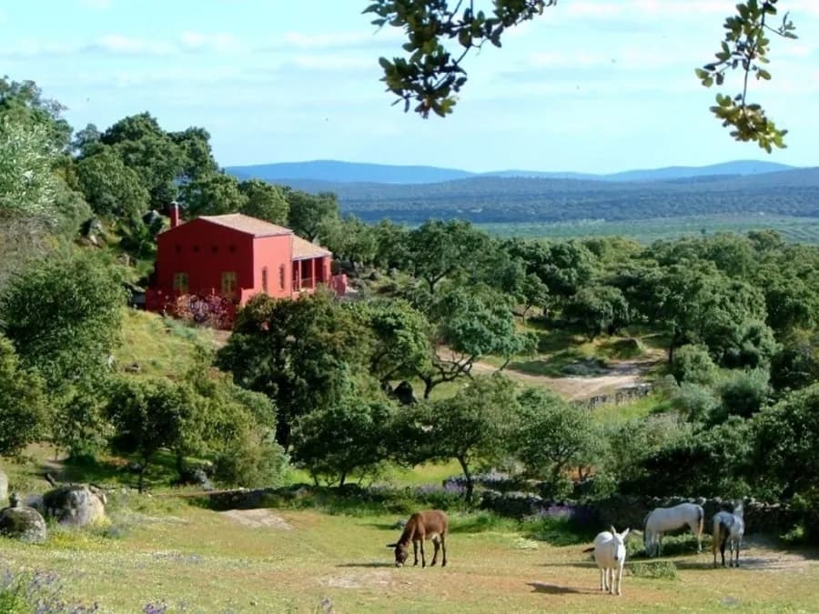 Etablissement au milieu de la nature et des ânes