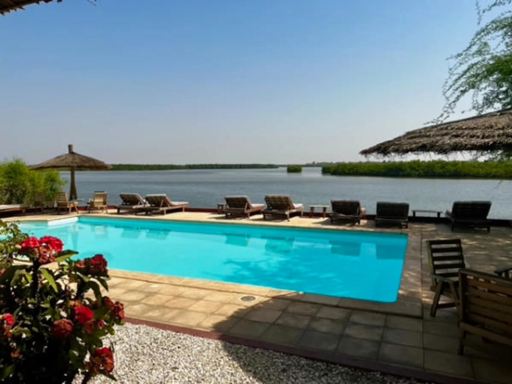 ecolodge sine saloum - Piscine avec vue sur le fleuve