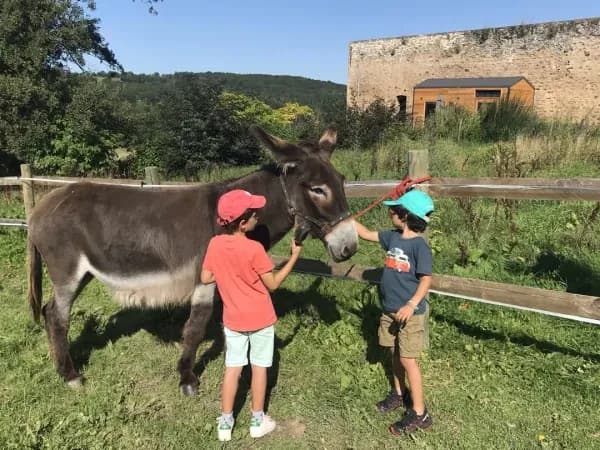 gîte morvan - âne avec des enfants qui le caresse