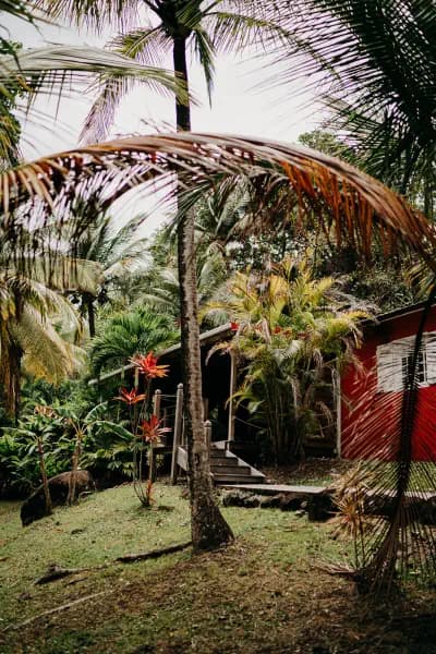 hôtel deshaies guadeloupe - maison en bois aux murs rouges à l'architecture traditionnelle créole