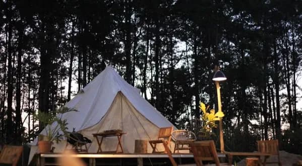 Tente de glamping au lieu d'une forêt posé sur une estrade en bois qui sert aussi de terrasse et éclairé avec un lampadaire