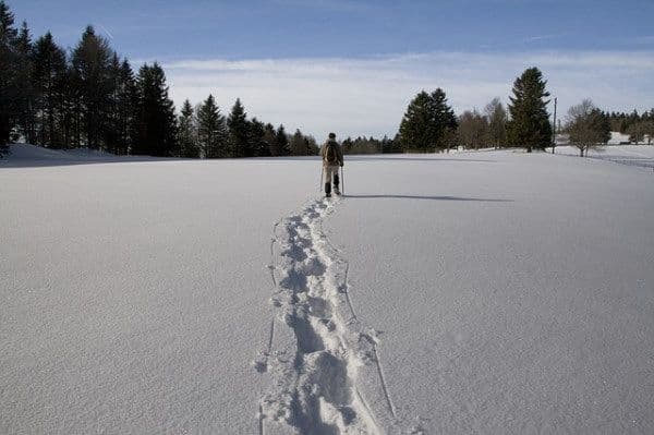 Une personne au milieu d'une plaine enneigée que l'on suit grace aux traces qu'elle laisse dans la neige avec ses raquettes